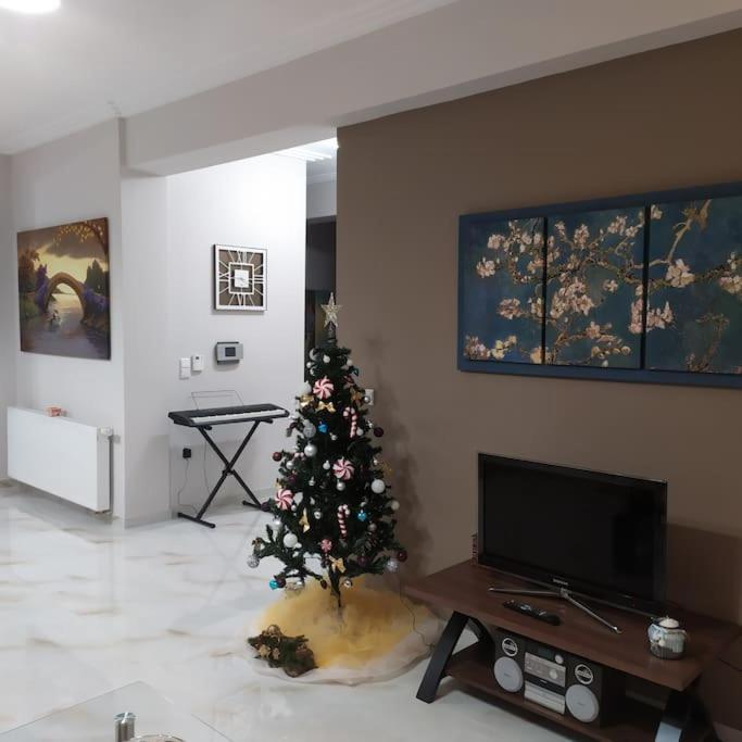 Ebony And Ivory Suites Drosia  Buitenkant foto