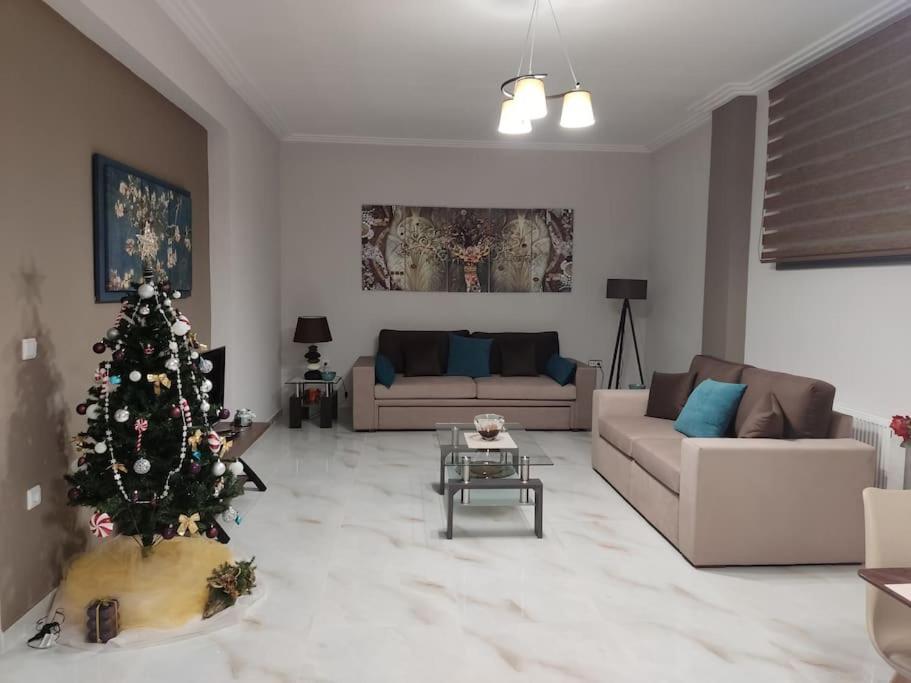 Ebony And Ivory Suites Drosia  Buitenkant foto